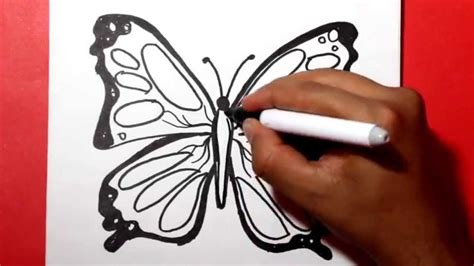 how to draw a butterfly / Como dibujar una mariposa /como ...
