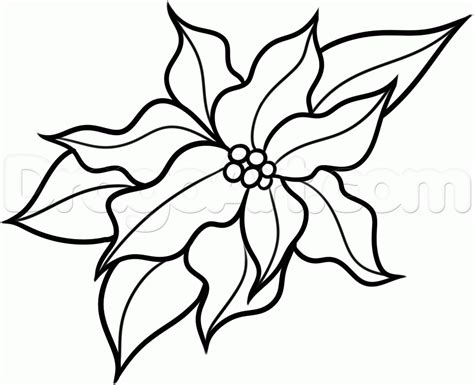 How to Draw a Christmas Flower, Step by Step, Christmas ...