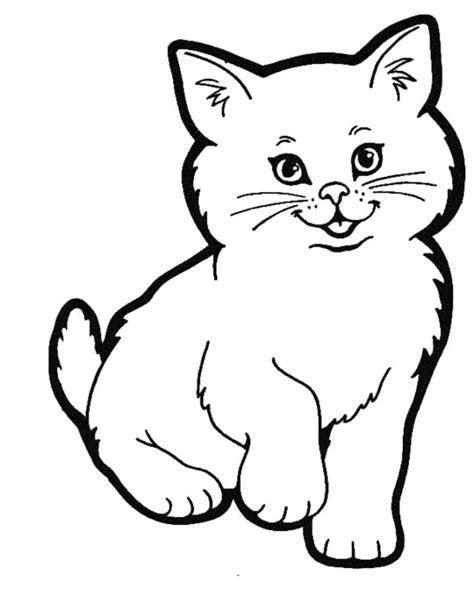 How to draw a cute realistic cat cartoon face step by step ...