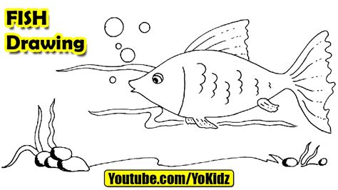 How to draw a fish for kids   YouTube