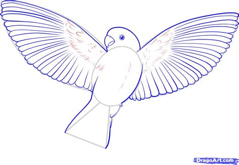 How to Draw a Flying Bird, How to Draw a Bird, Step by ...