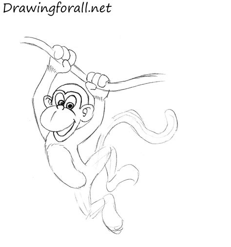 How to Draw a Monkey for Kids | DrawingForAll.net
