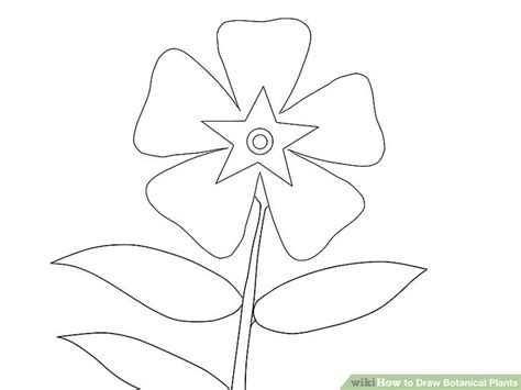 How to Draw Botanical Plants: 14 Steps with Pictures ...