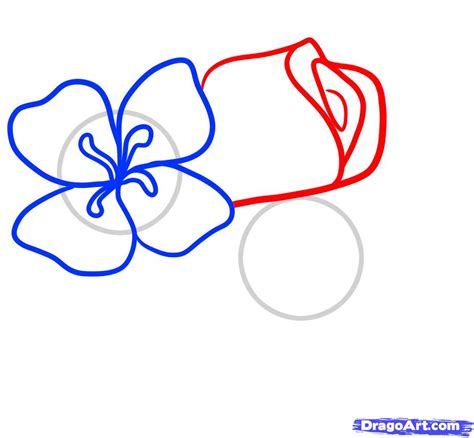 How to Draw Easy Flowers, Step by Step, Flowers, Pop ...