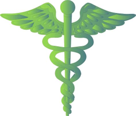 How to Find a Naturopathic Doctor in Connecticut ...
