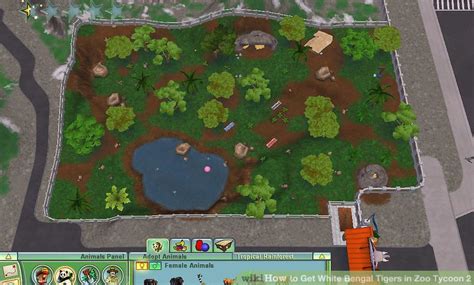 How to Get White Bengal Tigers in Zoo Tycoon 2: 8 Steps