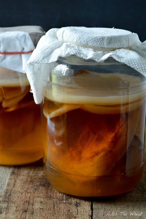 How to Grow a Kombucha Scoby from Bottled Kombucha | Ditch ...