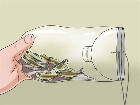How to Make a Minnow Trap: 9 Steps  with Pictures    wikiHow