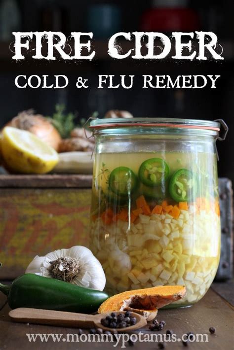 How To Make Fire Cider | DIY   cold/cough/illness remedies ...