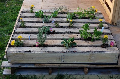 How to Plant an Herb Garden in a Salvage Wood Pallet | how ...