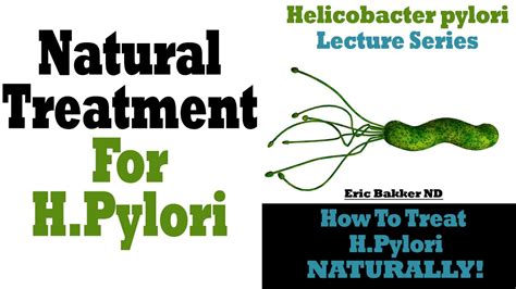 How To Treat And Eradicate Helicobacter Pylori Naturally ...