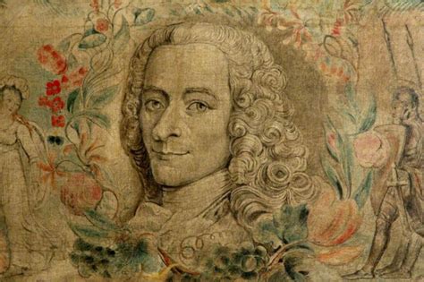 How Voltaire Revolutionized Society | CONSTRUCTION ...