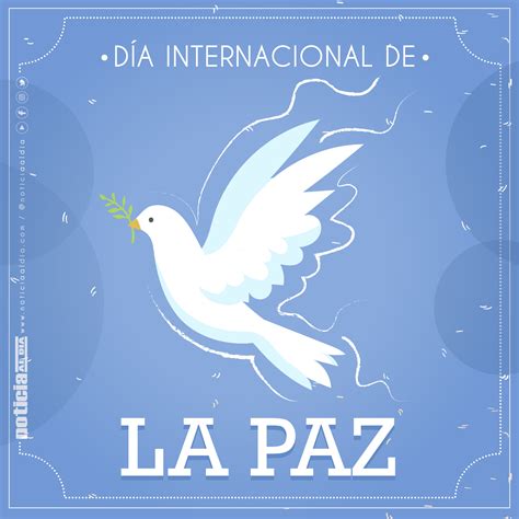 Hoy se celebra el Día Internacional de la Paz  Video