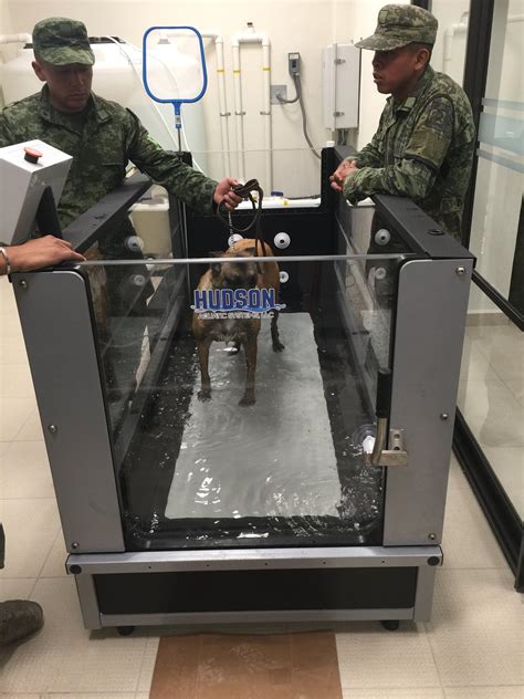 Hudson’s AquaPaws System Installed at a Mexican Military ...