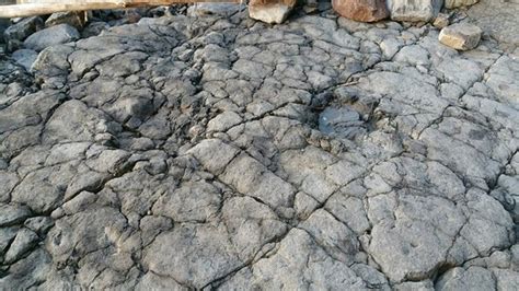 Huellas de dinosaurio: fotografía de Yacimiento de Icnitas ...