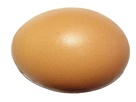 Huevo de gallina con fondo blanco | Imagenes Sin Copyright
