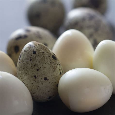 Huevos de codorniz: información, propiedades, proteínas, y más
