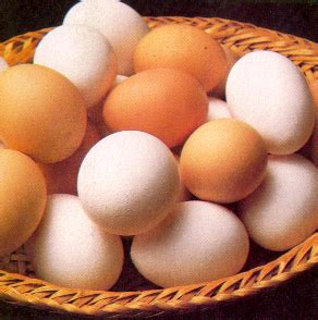 Huevos, el post que se merecen   Taringa!