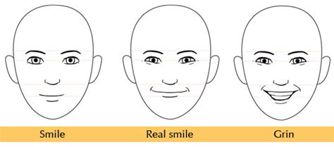 Human Anatomy Fundamentals: Mastering Facial Expressions