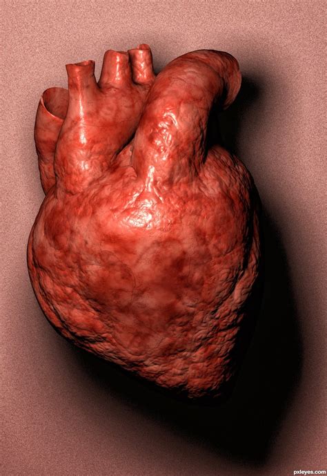 Human Heart picture, by Ory for: anatomy 3D contest ...