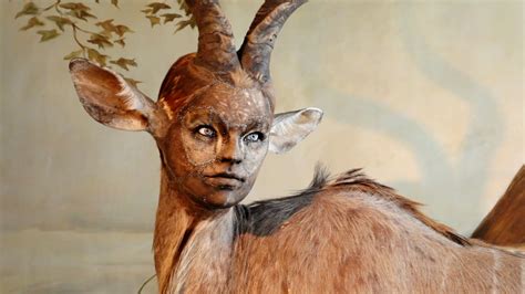 Human Looking Faces on Animal Bodies: Taxidermy as Art