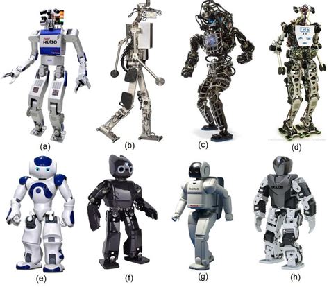 Humanoid robots:  a  HUBO  www.drc hubo.com ;  b  Johnnie ...