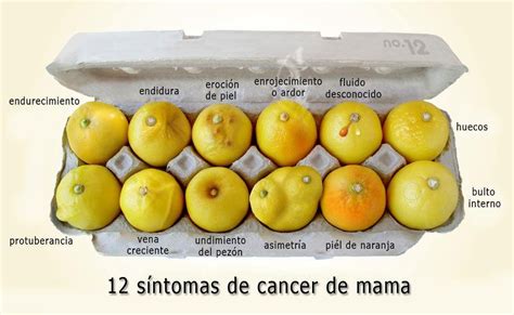 Humoralandyanna: 12 sintomas de cancer de mama