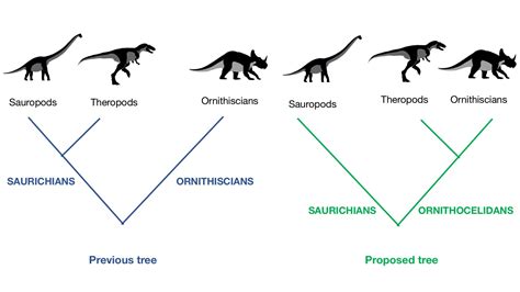 Hybrid Dinosaur May Change How We Understand Dinosaur ...