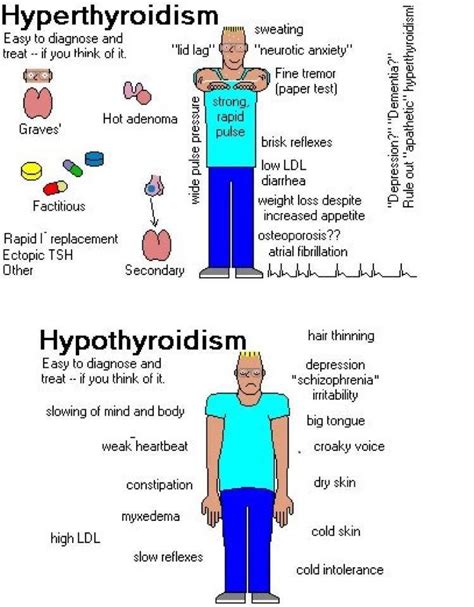 Hypothyroidism And Hyperthyroidism Signs   Health ...