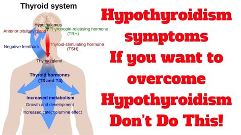 Hypothyroidism Symptoms | www.pixshark.com   Images ...