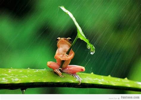 I love Rain « Funny Images, Pictures, Photos, Pics, Videos ...