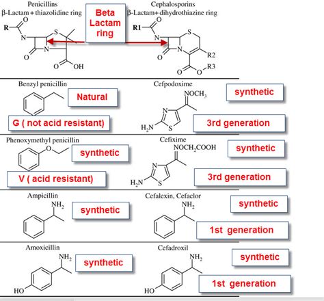 IB Biology/Chemistry: IB Biology, IB Chemistry on ...