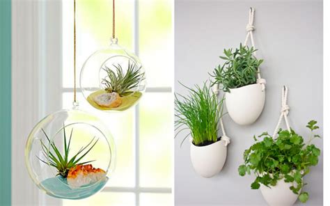 | Ideas originales para decorar la cocina con plantas