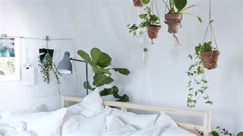 Ideas para decorar con plantas el dormitorio