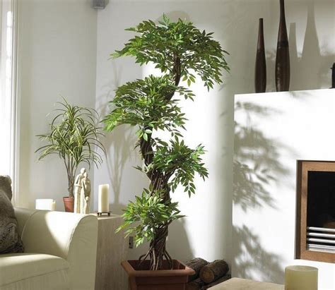 Ideas para decorar tu hogar y la oficina con plantas ...
