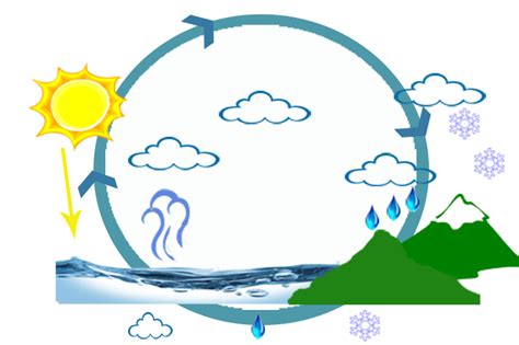 IDEASHOT: Ciclo del agua y sus estados