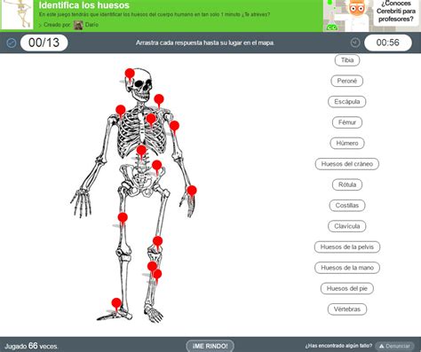 Identifica los huesos del cuerpo humano  Cerebriti ...