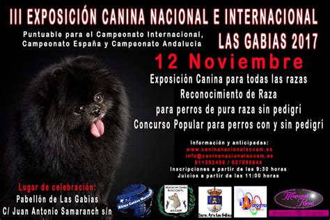 III Exposición Canina Nacional e Internacional de Las ...