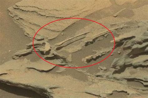Il cucchiaio fluttuante su Marte? La Nasa spiega cos è ...