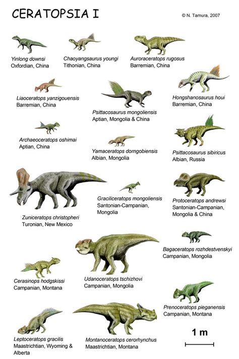 Illustration to scale of 18 species of basal ceratopsians ...