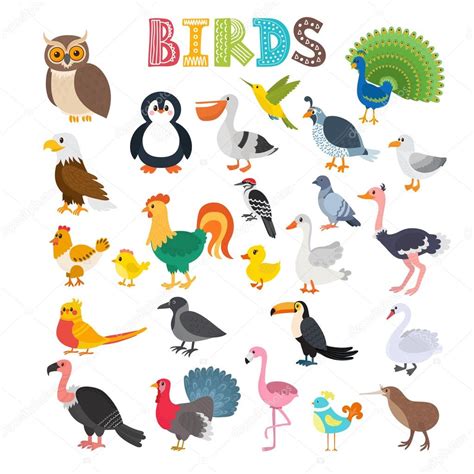 Ilustración vectorial de diferentes tipos de aves. Cute ...