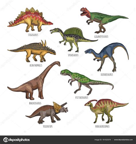 Ilustraciones coloreadas de tipos de dinosaurios ...