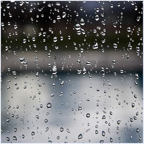 Image Gallery dia lluvioso