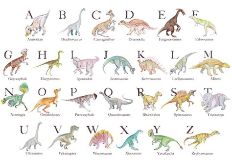 Image Gallery dinosaur names