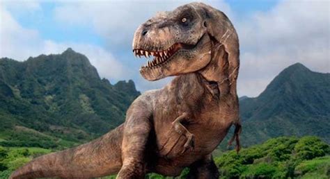 Image Gallery dinosaurios reales