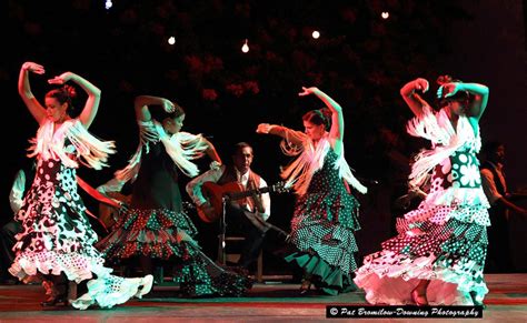 Image Gallery el flamenco