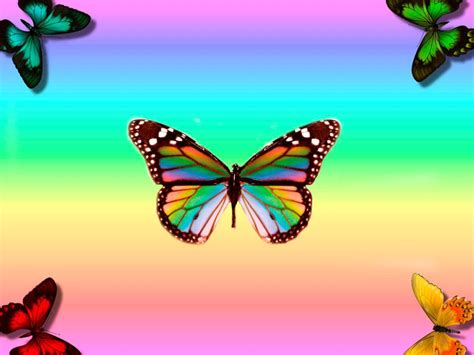 Image Gallery imagenes de mariposas coloridas