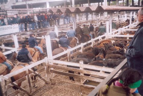 Image Gallery imagenes de mataderos
