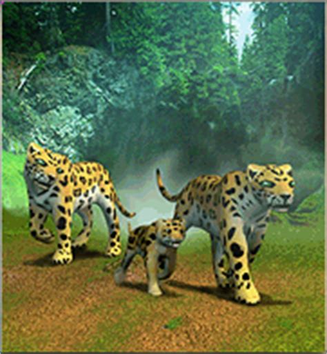 Image Gallery jaguar zoo
