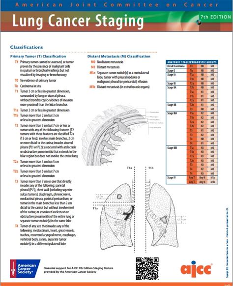 Image Gallery lung cancer staging chart